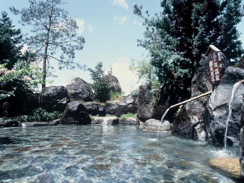 Ryokan Ikazawa Onsen Yumotokan Minamiuonuma Exterior foto